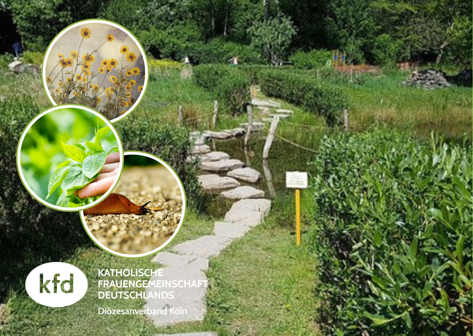 Natur entdecken Naturgut Ophoven - Homepage
