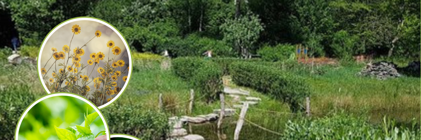 Natur entdecken Naturgut Ophoven - Homepage (c) Pixabay Natur entdecken Naturgut Ophoven - Homepage