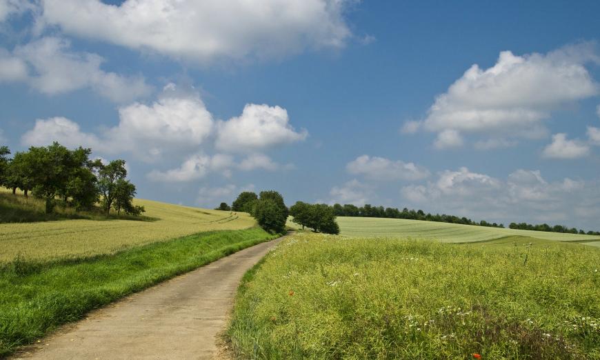 Nachhaltigkeit - Feldweg