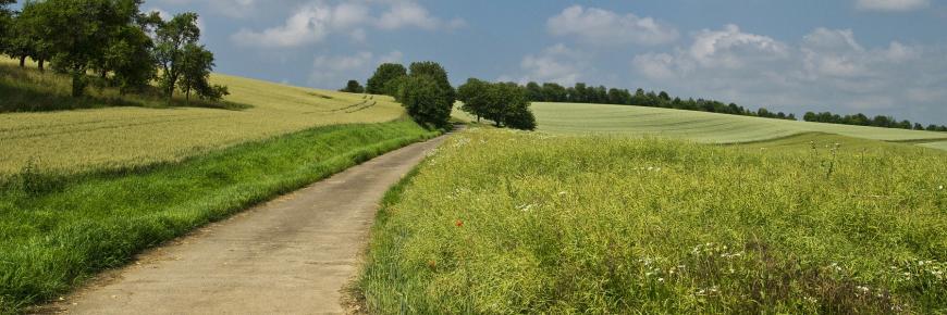 Nachhaltigkeit - Feldweg