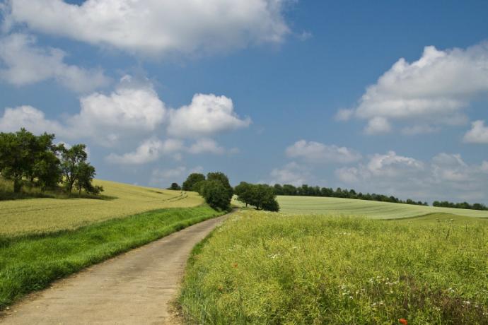 Nachhaltigkeit - Feldweg