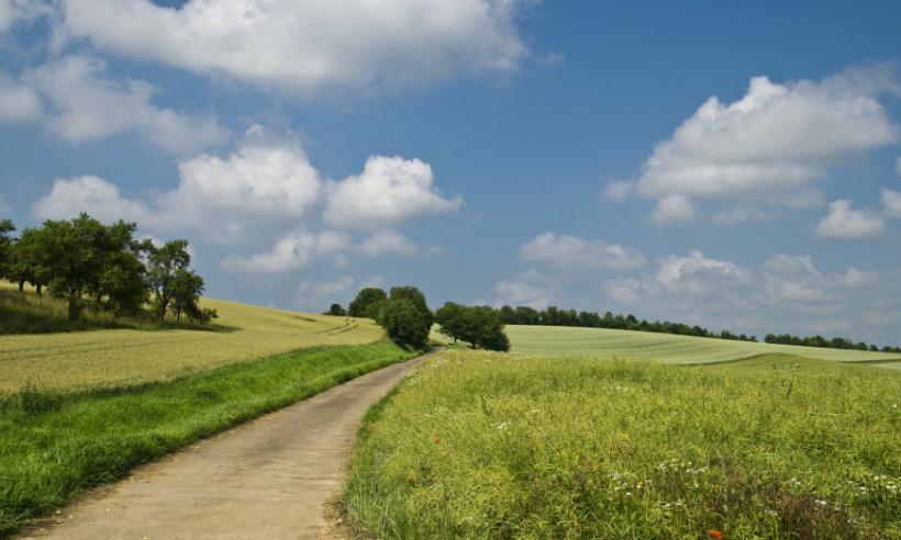 Nachhaltigkeit - Feldweg